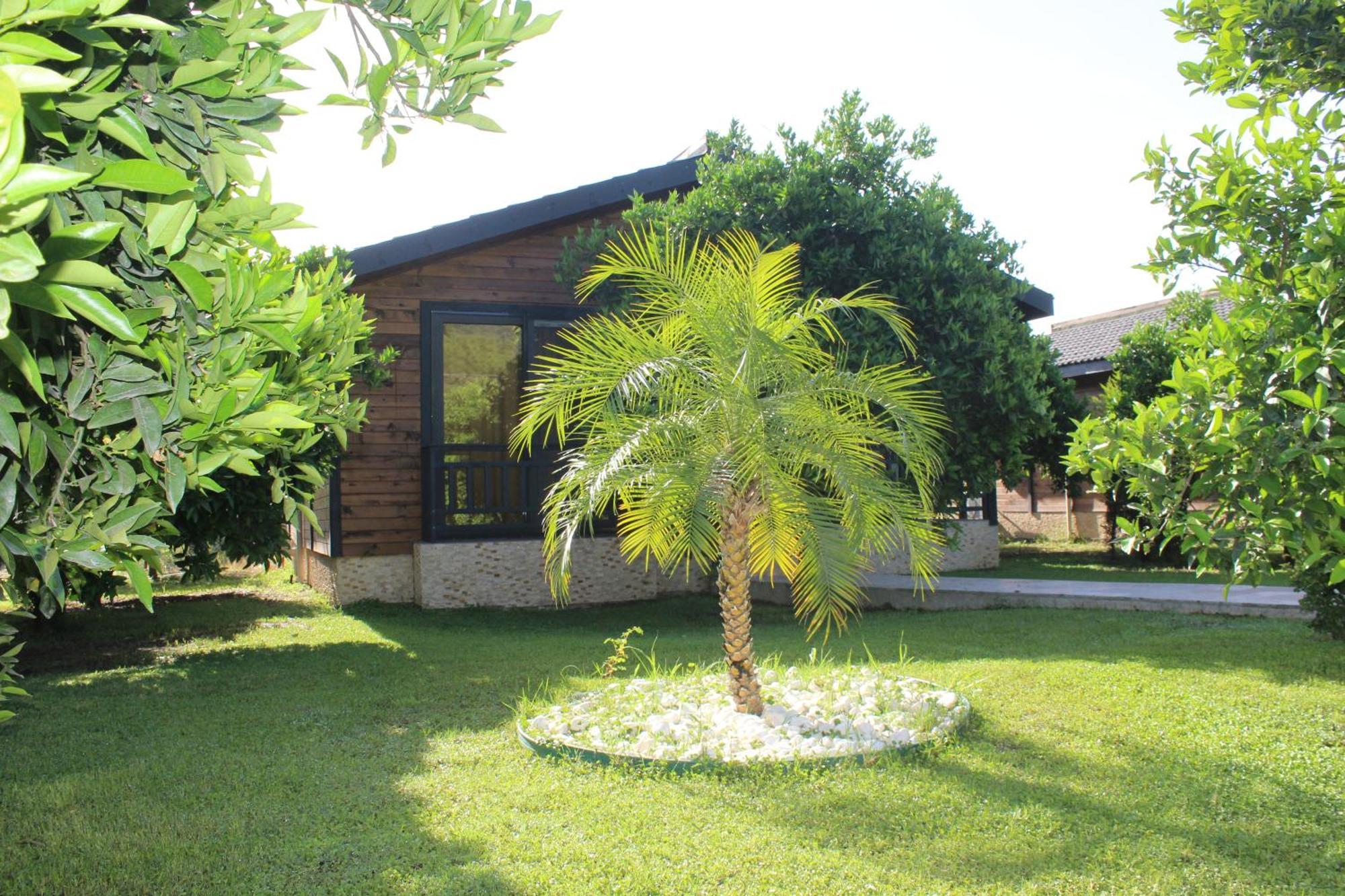 Cirali Villa'S Kemer Dış mekan fotoğraf